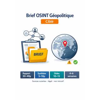 Brief OSINT géopolitique ciblé pour institutions publiques | Note stratégique + slides (institution)