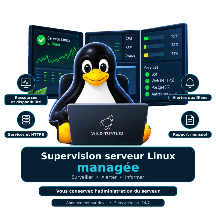 Supervision serveur Linux managée – monitoring et alertes