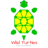 Wild Turtles
